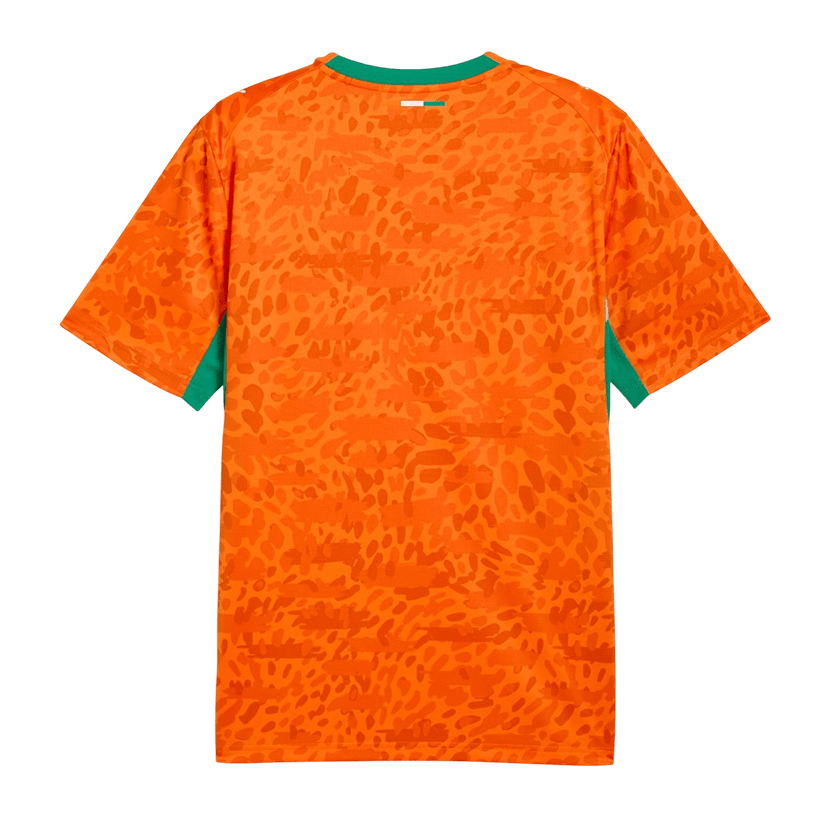 Ivory Coast National Team 2026 Home Jersey - Orange, Men