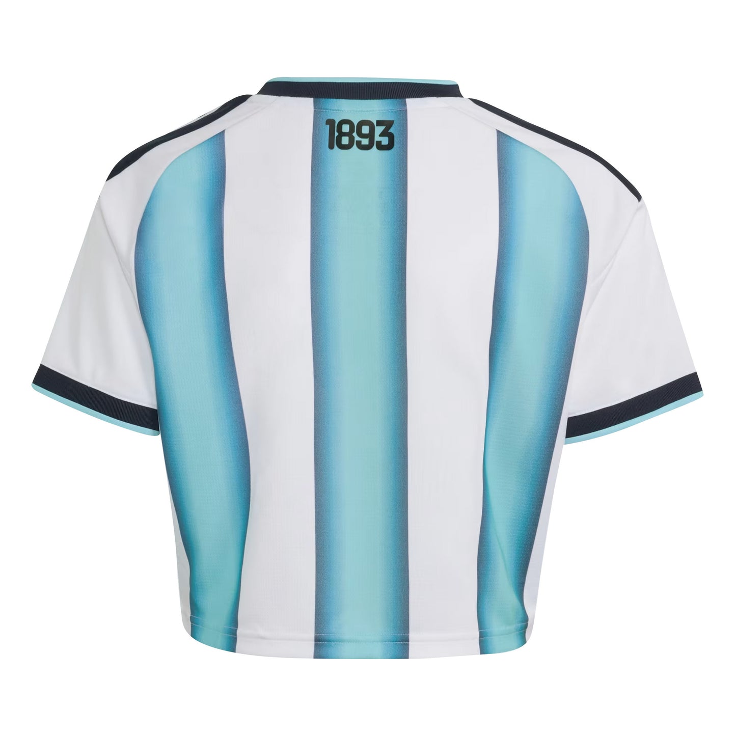 Argentina 2026 Home Women's Cropped Jersey - White