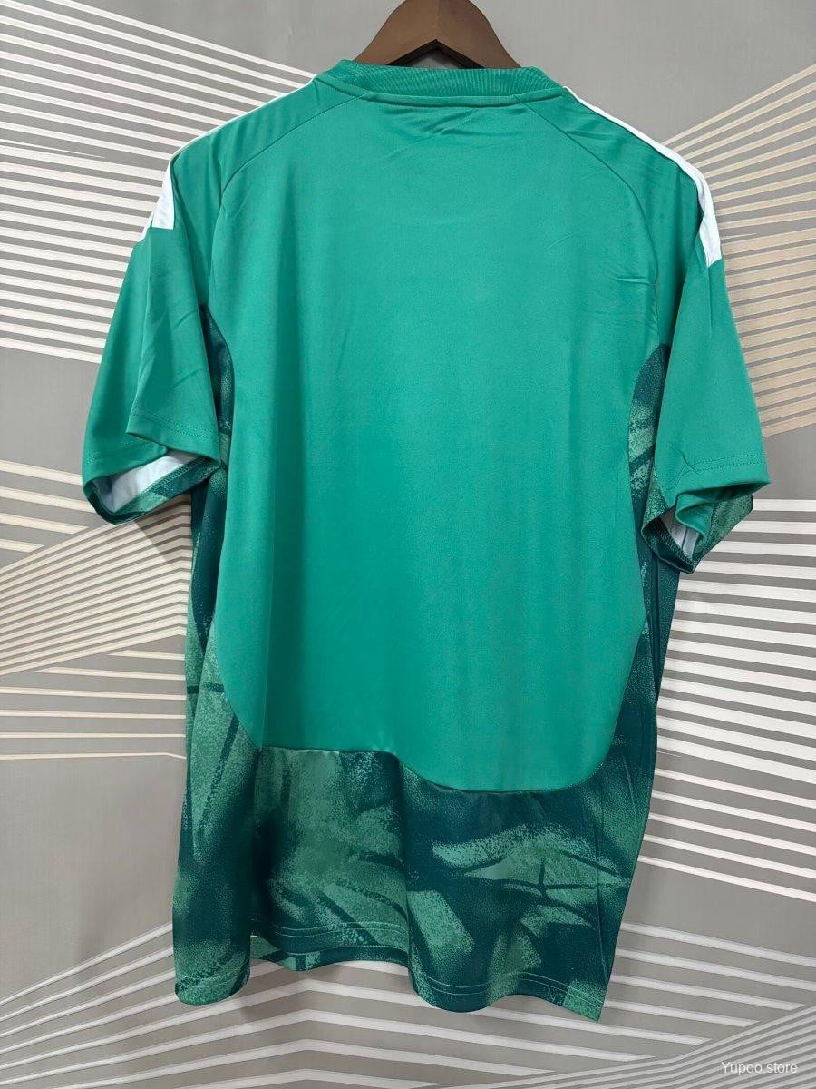 Germany National Team World Cup 2026 Goalkeeper Jersey - Men Green