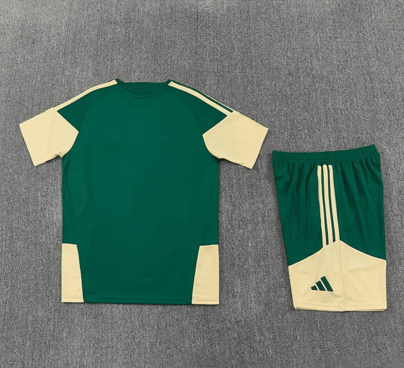 Spain 2026/27 Training Soccer Kit, Men - Green/Beige