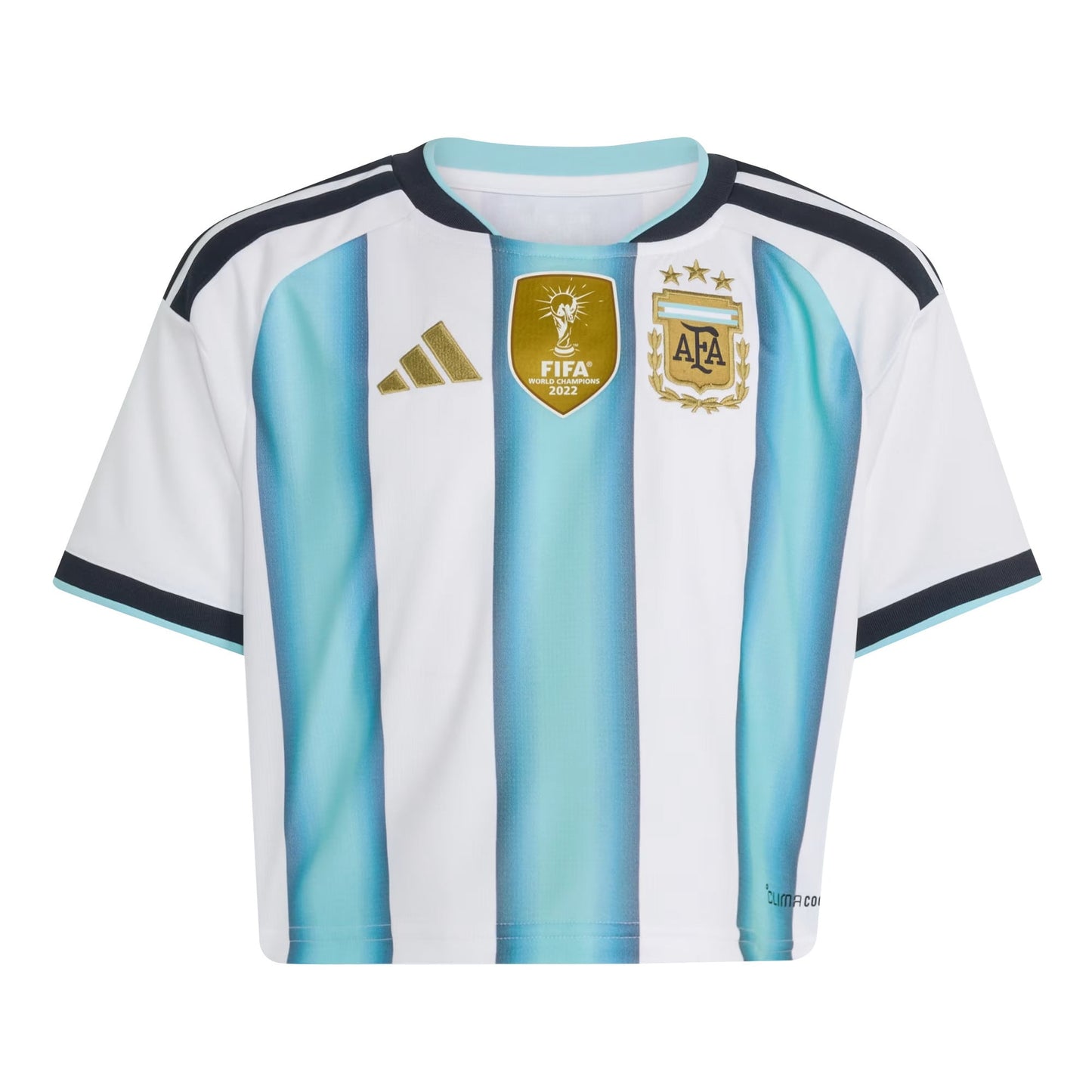 Argentina 2026 Home Women's Cropped Jersey - White