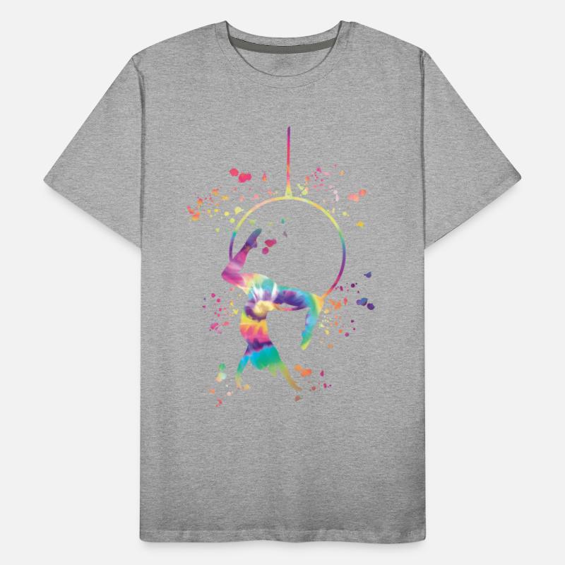 Aerialist Aerial Ring Lyra Aerial Hoop