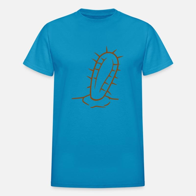 Cactus Plant Prickly Spines Desert Cacti Flowers