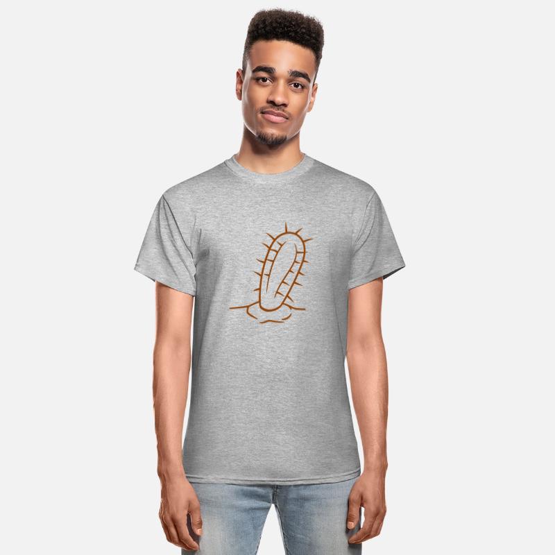 Cactus Plant Prickly Spines Desert Cacti Flowers