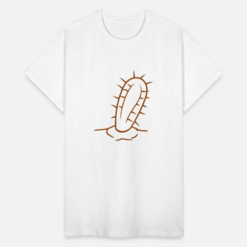 Cactus Plant Prickly Spines Desert Cacti Flowers