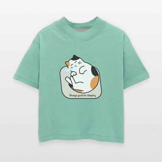 Calico cat Snooze, cat always good for sleeping