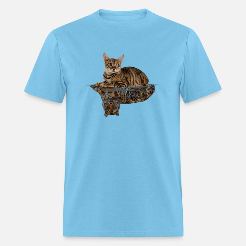 Cat Looking in the Mirror