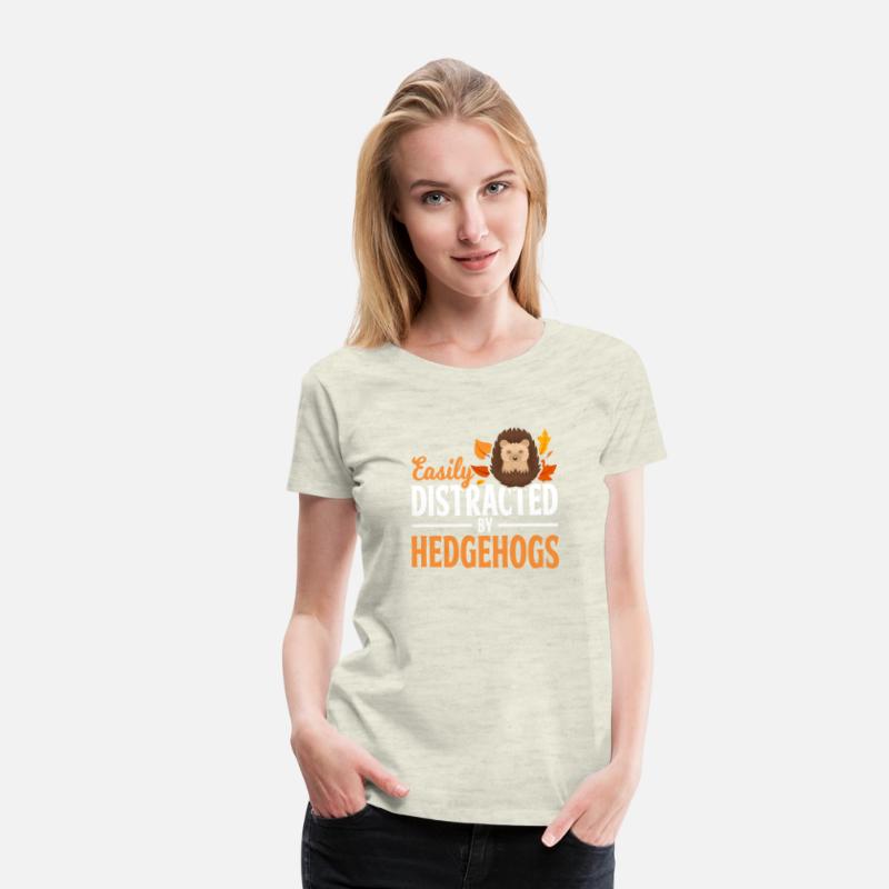 Cute Hedgehog Cute Animal