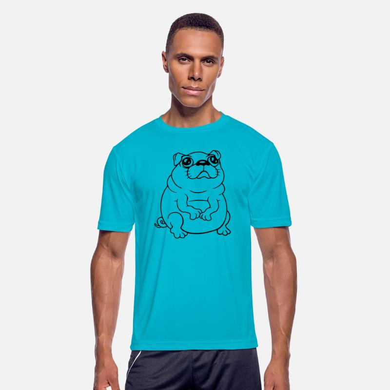 Pug Dog Sits Small Begging Fat Looks Sad Hungry