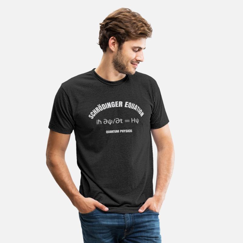 Quantum Computing Schrödinger equation