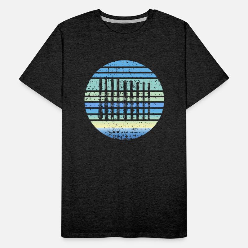 Ski Boards Collection