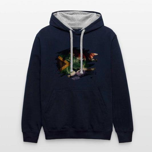 South Africa Flag & African Lion Picture