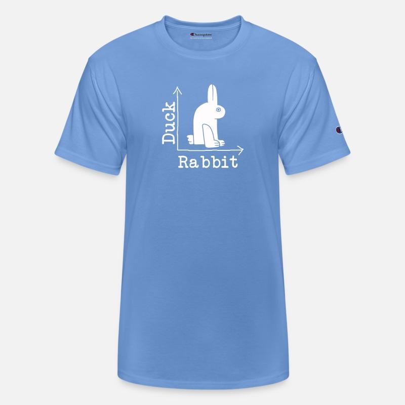 Wittgensteins Rabbit Duck Illusion